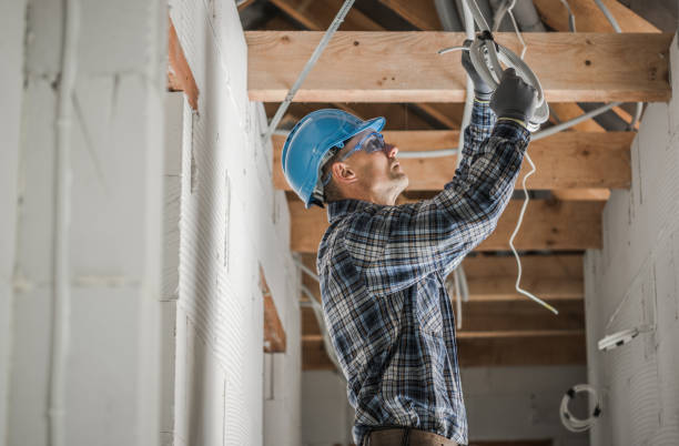Best Licensed Electrician  in Chelsea, MI