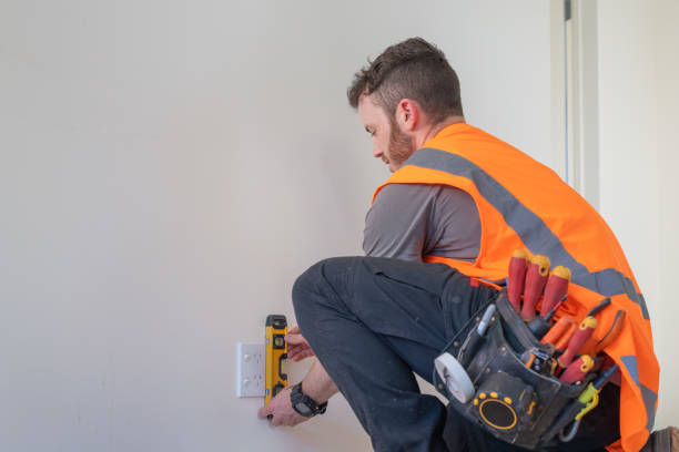 Best Local Electrician Companies  in Chelsea, MI